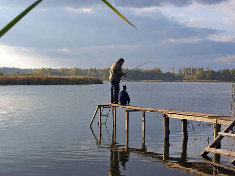 Загородный комплекс Dibrova Club