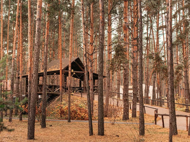 Загородный комплекс SOSNOVEL