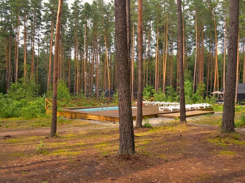 Будинок 11 Family