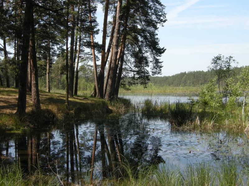 Заміський комплекс Медвино