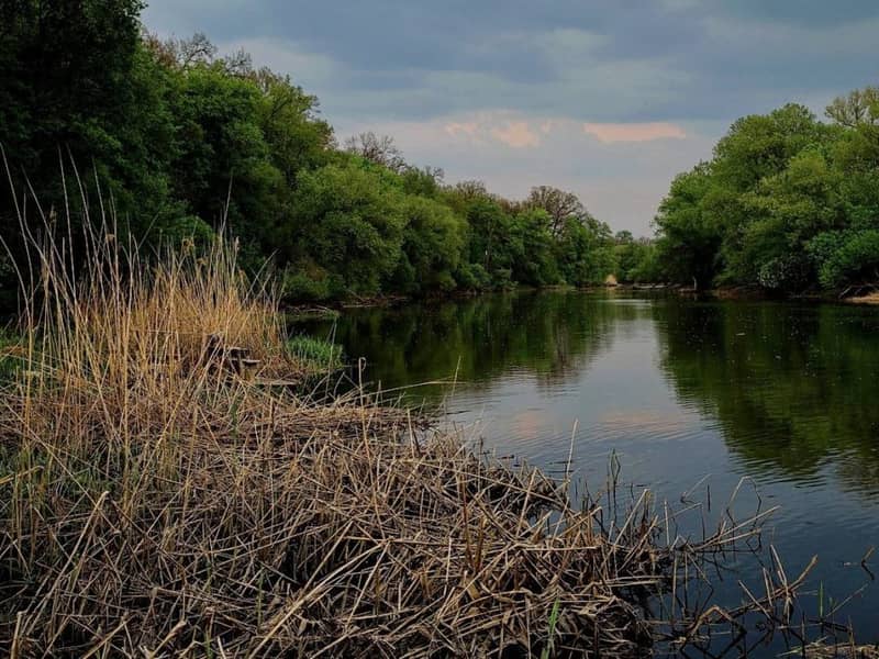 Загородный комплекс Лісотель