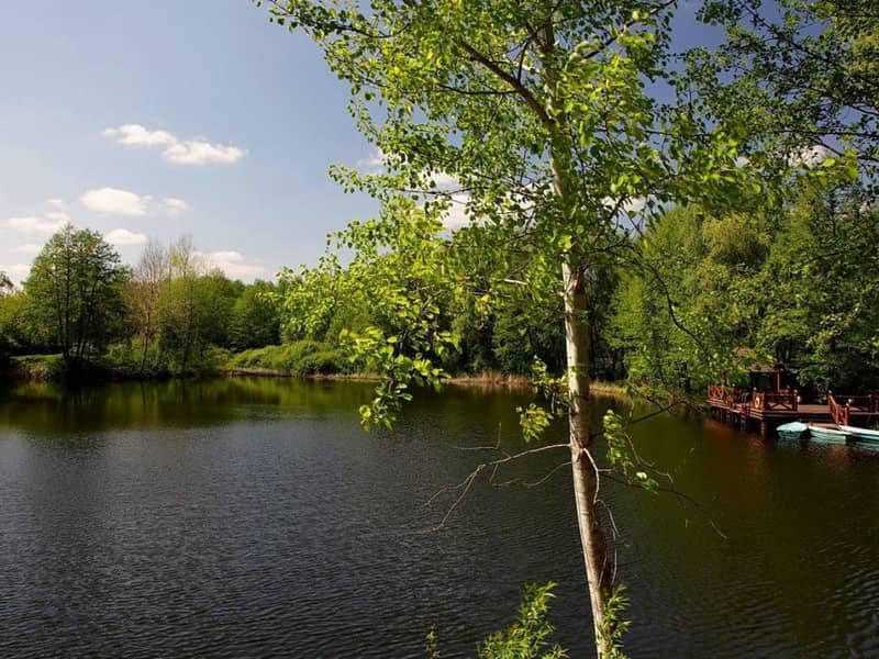 Загородный комплекс Лісотель