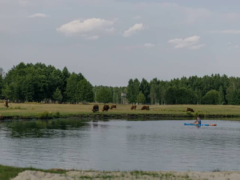 Однокомнатный Camp с террасой