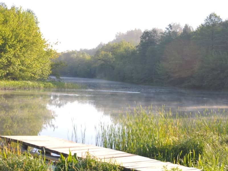 База отдыха Fishing & Park