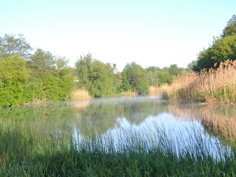 База отдыха Fishing & Park