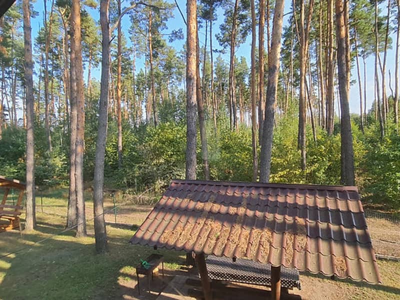 База отдыха Крымок