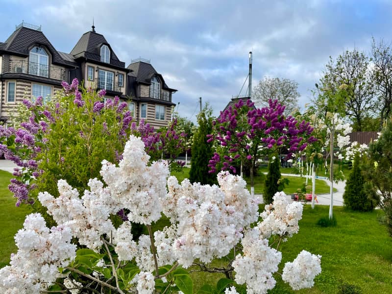 Загородный комплекс Dacha Del Mar