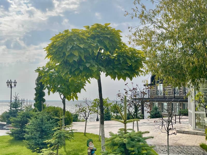 Загородный комплекс Dacha Del Mar