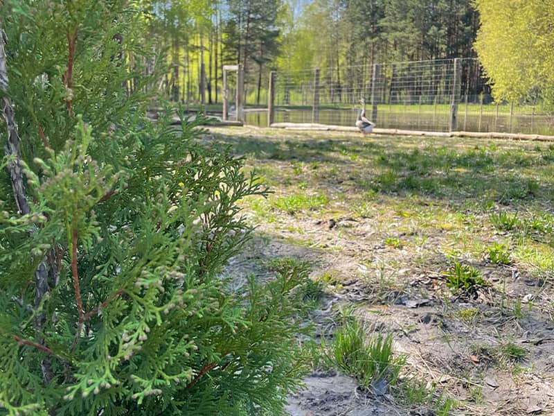 Комплекс отдыха У Марусі